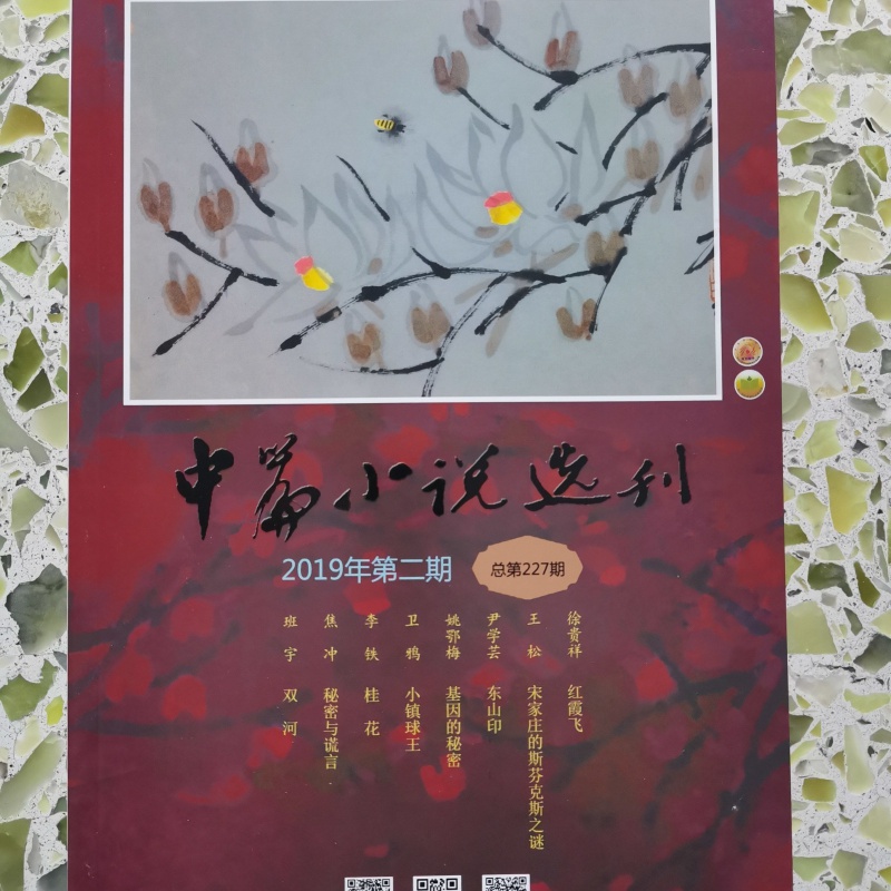{投注}(中篇小说选刊电子版)